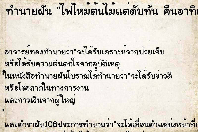ทำนายฝัน ไฟไหม้ต้นไม้แต่ดับทัน คืนอาทิตย์ 